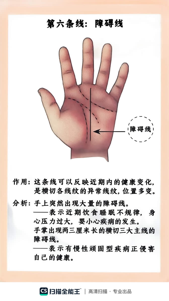 第6张