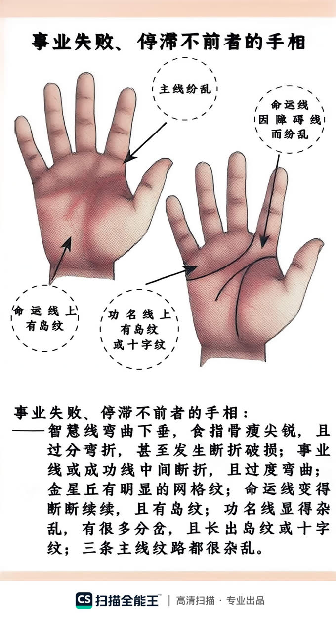 第9张