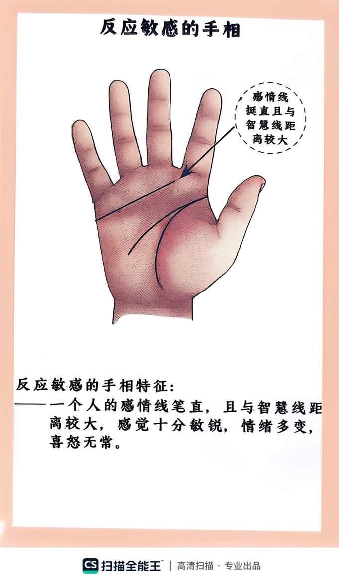 第13张