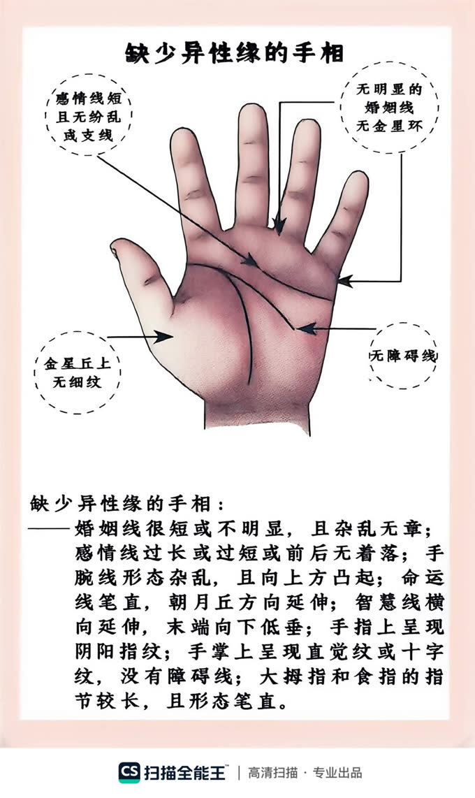 第20张