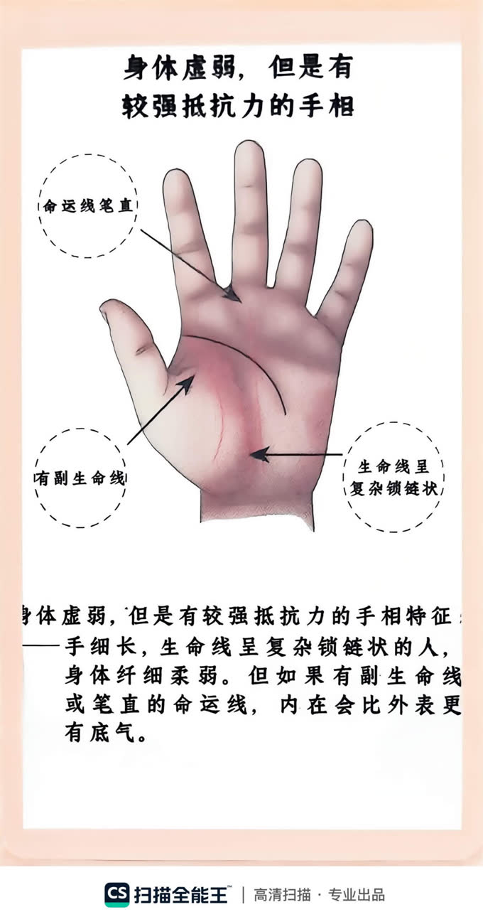 第44张