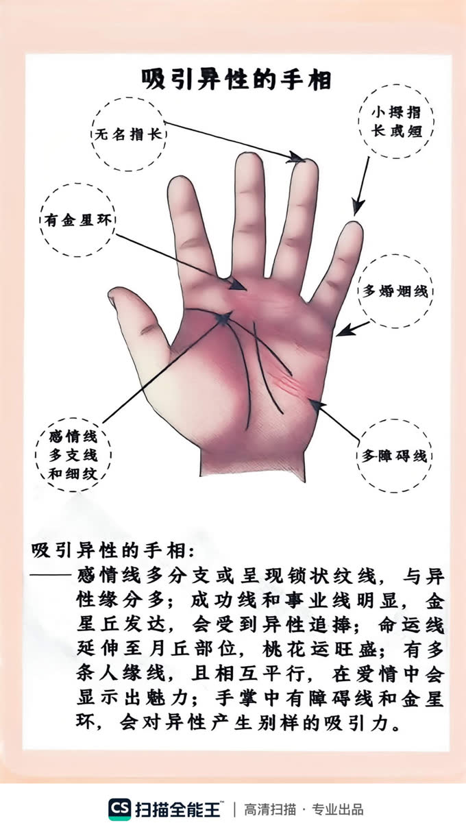 第46张