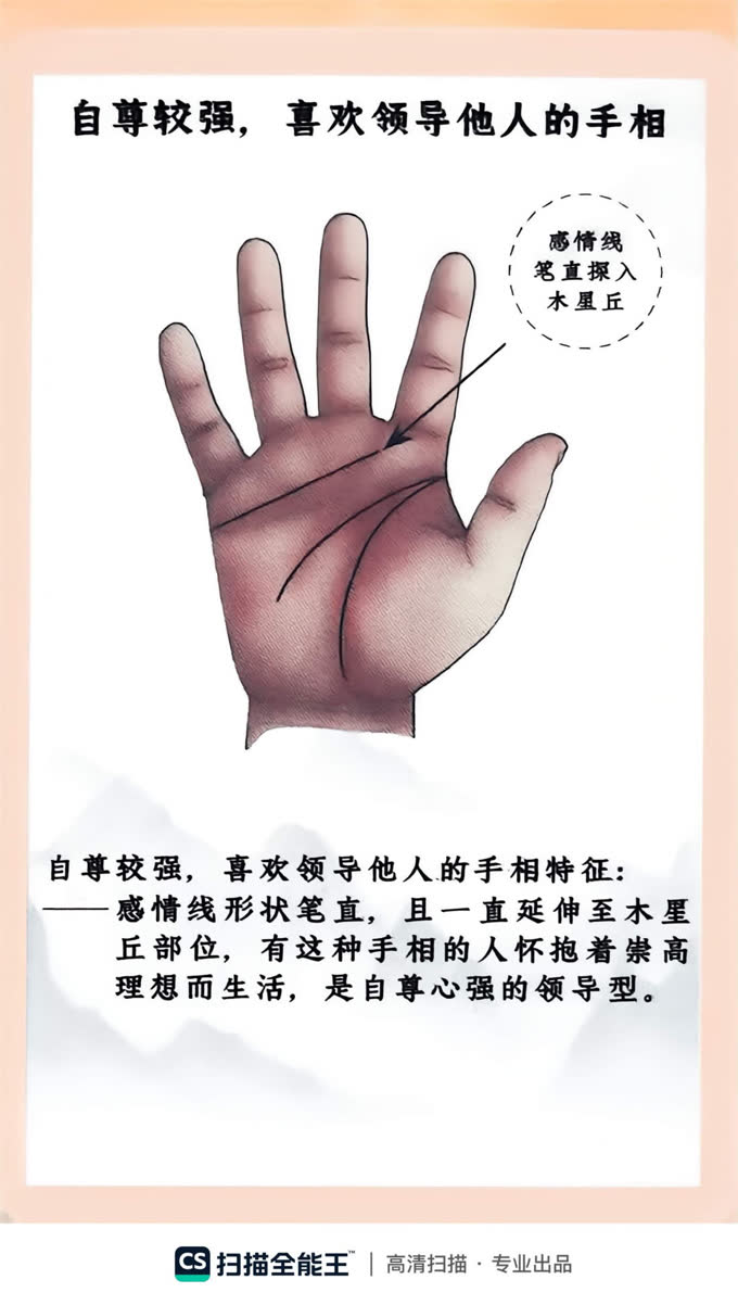 第48张