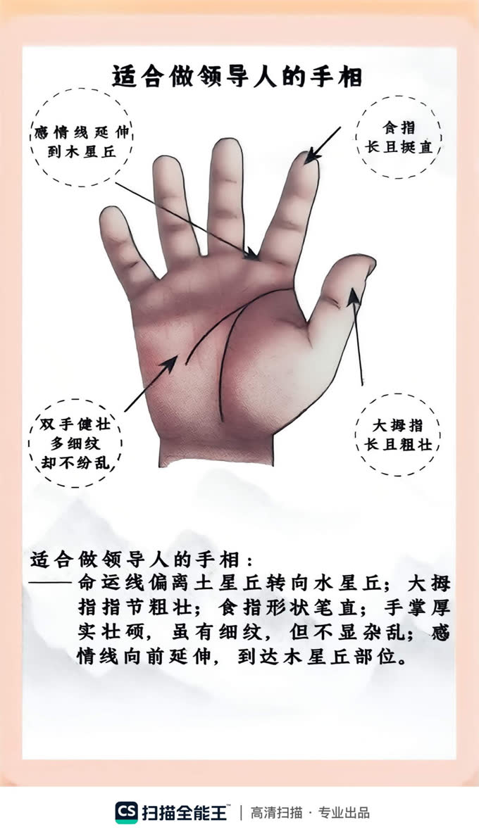 第53张