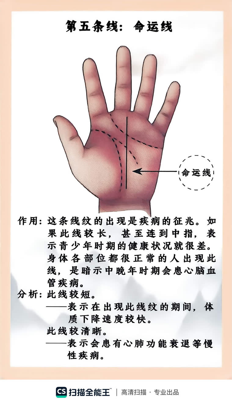 第五条线 · 命运线